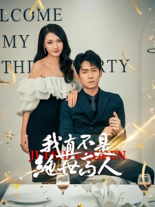 短剧我真不是绝世高人海报