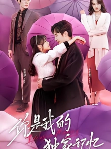 短剧你是我的独家记忆海报