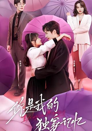 短剧你是我的独家记忆海报