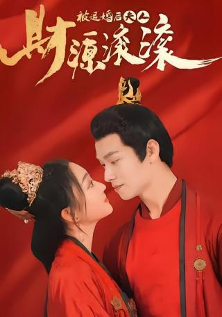 短剧被退婚后夫人财源滚滚海报