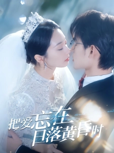 短剧把爱忘在日落黄昏时海报