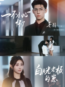 短剧一不小心怀了白月光老板的崽海报