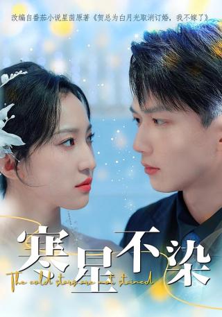 短剧寒星不染海报