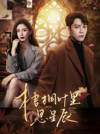 短剧梧桐叶里思星辰海报