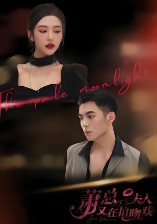 短剧萧总，夫人又在拍吻戏海报