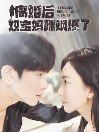 短剧离婚后双宝妈咪飒爆了海报