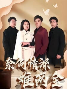 短剧奈何情深难两全海报