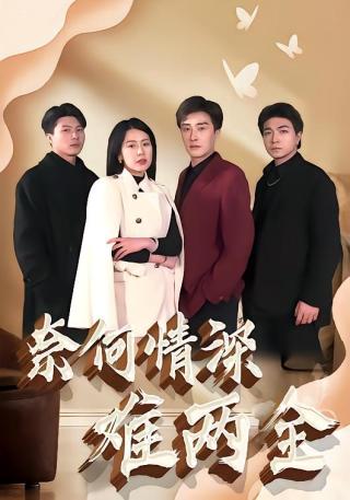 短剧奈何情深难两全海报