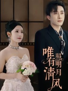 短剧唯有清风照明月海报