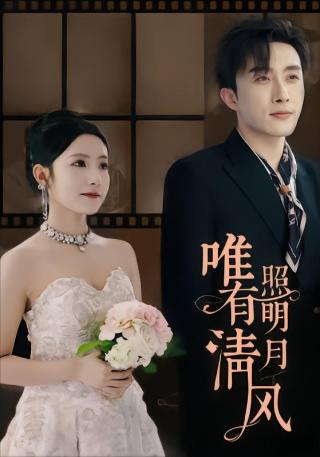 短剧唯有清风照明月海报