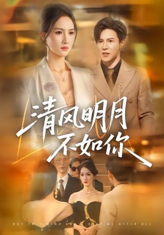 短剧清风明月不如你海报
