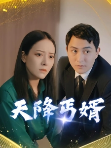 短剧天降丐婿海报