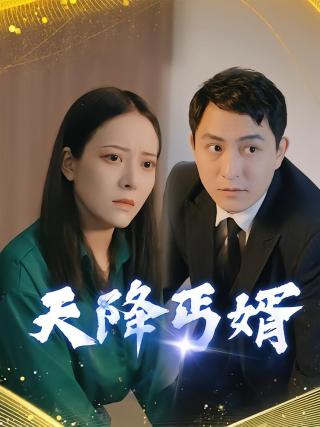 短剧天降丐婿海报