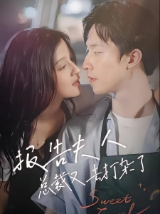 短剧报告夫人，总裁又去打杂了海报