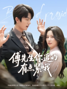 短剧傅先生你追的有点紧哦海报