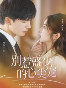 短剧别惹盛少的心尖宠海报