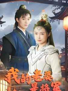 短剧我的老婆是将军海报