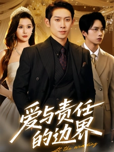 短剧爱与责任的边界海报