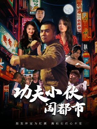 短剧功夫小伙闯都市海报