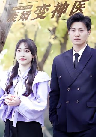 短剧废婿变神医海报