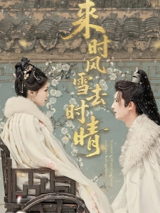 短剧来时风雪去时晴海报