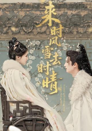 短剧来时风雪去时晴海报