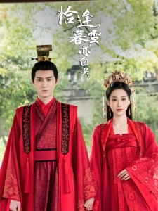 短剧恰逢暮雪亦白头海报