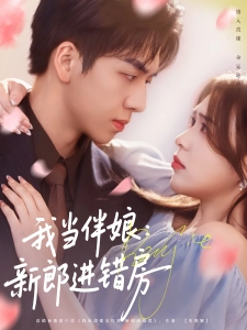 短剧我当伴娘：新郎进错房海报