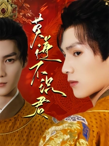 短剧莫道不识君海报