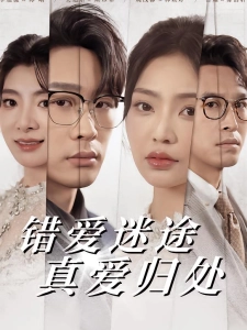 短剧错爱迷途真爱归处海报