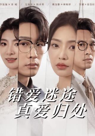 短剧错爱迷途真爱归处海报