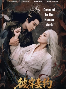 短剧彼岸妻约海报