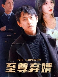 短剧至尊弃婿海报