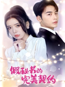 短剧假秘书的完美契约海报