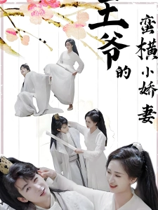 短剧王爷的蛮横小娇妻海报