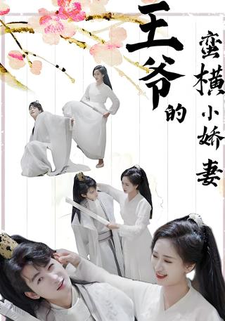 短剧王爷的蛮横小娇妻海报