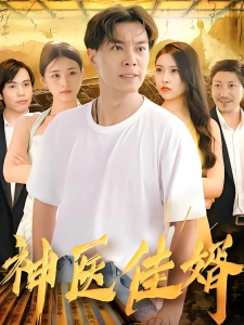 短剧神医佳婿海报