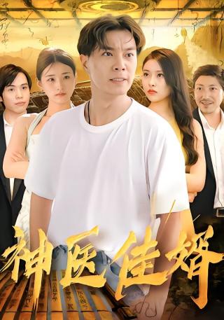 短剧神医佳婿海报