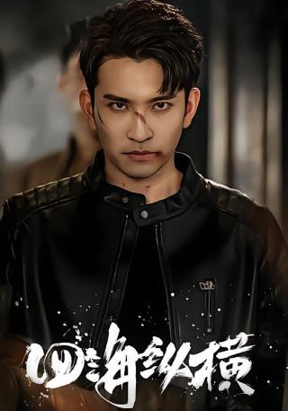 短剧四海纵横海报