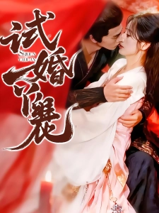 短剧试婚丫鬟海报