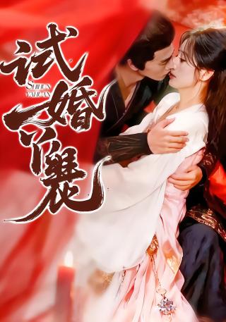 短剧试婚丫鬟海报