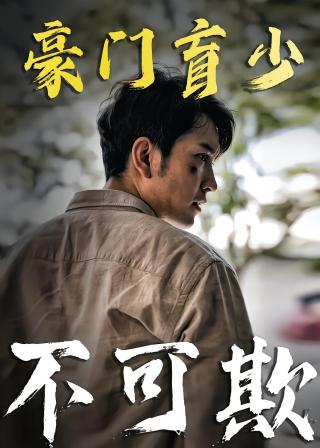 短剧豪门盲少不可欺海报