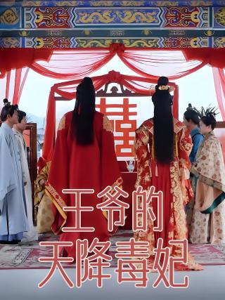 短剧王爷的天降毒妃海报