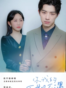 短剧你我的不期而遇海报