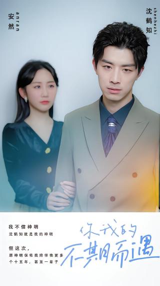 短剧你我的不期而遇海报