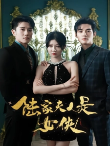 短剧陆家夫人是女侠海报