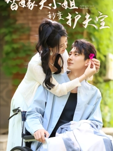 短剧替嫁大小姐秒变护夫宝海报