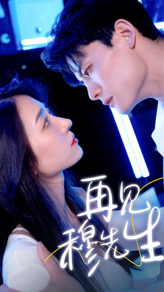 短剧再见，穆先生海报