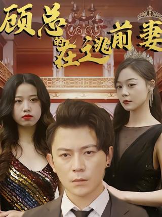 短剧顾总的在逃前妻海报