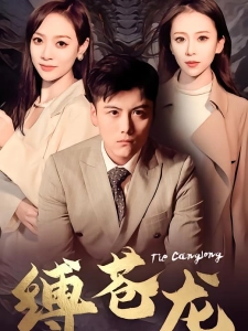 短剧缚苍龙海报